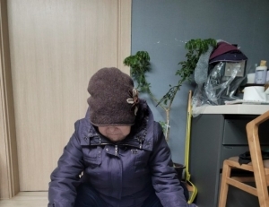 기사이미지